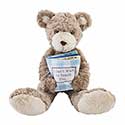 Big Bro Bear 10190225