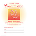 Certificate Confirmation 8787