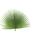 Palm Fans Altar D&#233;cor for Palm Sunday