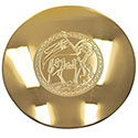 Paten K389