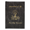 Marian Children&#39;s Mass Book 1525125